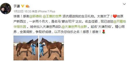 马爸爸内部爆料视频大全,视频大全背后的商业智慧 第2张 马爸爸内部爆料视频大全,视频大全背后的商业智慧 第2张